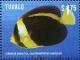 Colnect-3146-430-Scribbled-Angelfish-Chaetodontoplus-duboulayi.jpg