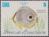 Colnect-1473-719-Foureye-Butterflyfish-Chaetodon-capistratus.jpg