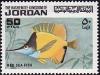 Colnect-1514-189-Longnose-Butterflyfish-Forcipiger-longirostris.jpg