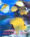 Colnect-3014-802-Longnose-Butterflyfish-Forcipiger-longirostris.jpg