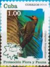 Colnect-3143-314-Fernandina-s-Flicker-Colaptes-fernandinae.jpg