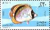 Colnect-3353-536-Lined-Butterflyfish-Chaetodon-lineolatus.jpg