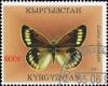 Colnect-4764-332-Butterfly-Colias-christophi.jpg