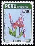 Colnect-1646-175-Peruvian-Flora---Canna-edulis-ker.jpg