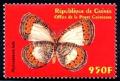 Colnect-2176-070-Butterfly-Physcaeneura-leda.jpg