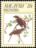 Colnect-2359-662-Scarlet-backed-Flowerpecker-Dicaeum-cruentatum.jpg