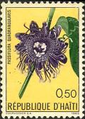 Colnect-2387-047-Passiflora-quadrangularis.jpg