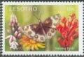 Colnect-3237-449-Butterfly-flowers-in-national-parks.jpg