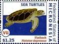 Colnect-5782-110-Flatback-turtle.jpg