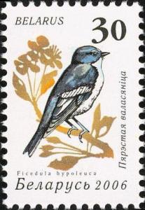 Colnect-1055-982-European-Pied-Flycatcher-Ficedula-hypoleuca.jpg