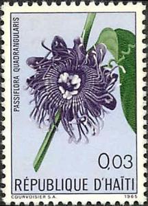 Colnect-2389-181-Passiflora-quadrangularis.jpg