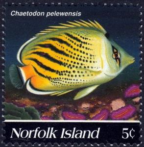 Colnect-2364-224-Sunset-Butterflyfish-Chaetodon-pelewensis.jpg