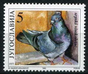 Colnect-1248-022-Serbian-high-flier-Columba-livia-domestica.jpg