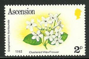 Colnect-1297-576-Clustered-Wax-Flower-Stephanotis-floribunda.jpg