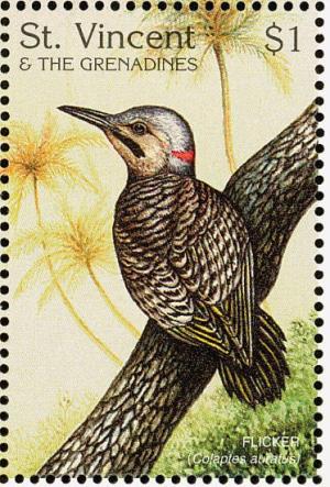 Colnect-1755-661-Northern-Flicker-Colaptes-auratus.jpg