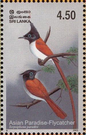 Colnect-2543-480-Asian-Paradise-Flycatcher-Terpsiphone-paradisi.jpg