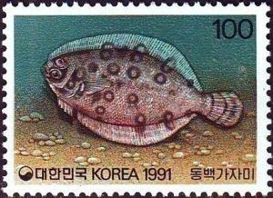 Colnect-2617-720-Lefteye-Flounder-Psettina-ijimae.jpg