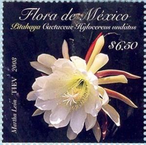 Colnect-418-742-Flor-de-Pitaya.jpg