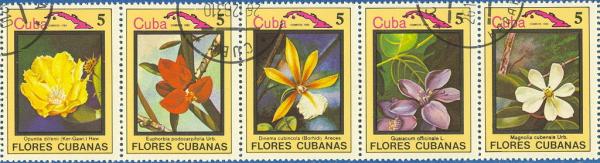 Colnect-674-943-Flowers-of-Cuba.jpg