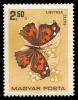 1733_Butterflies_250.jpg