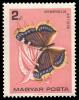 1732_Butterflies_200.jpg