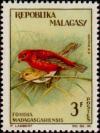 Colnect-2322-527-Red-Fody-Foudia-madagascariensis-.jpg