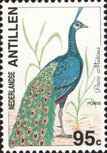 Colnect-961-113-Indian-Peafowl-nbsp-Pavo-cristatus.jpg