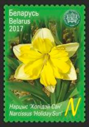 Colnect-4043-320-Daffodil--Holiday-Sun-.jpg