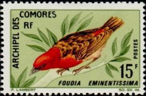 Colnect-787-726-Red-headed-Fody-Foudia-eminentissima.jpg