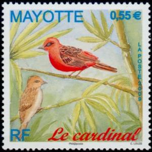 Colnect-851-256-Red-headed-Fody-Foudia-eminentissima.jpg