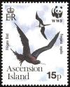 Colnect-1586-504-Ascension-Frigatebird-Fregata-aquila.jpg