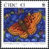 Colnect-1863-865-Pearl-bordered-Fritillary-Boloria-euphrosyne-.jpg