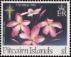 Colnect-3966-351-Star-and-Frangipani-Plumeria-rubra.jpg