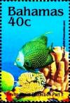 Colnect-4131-908-French-angelfish.jpg