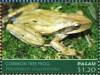 Colnect-4992-718-Common-Tree-Frog-Polypedates-leucomystax.jpg