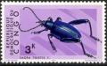 Colnect-1104-889-Jewelled-Frog-Beetle-Sagra-tristes.jpg