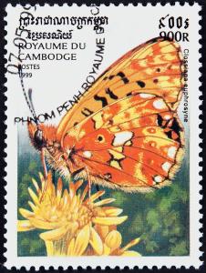 Colnect-3890-034-Pearl-bordered-Fritillary-Clossiana-euphrosyne.jpg