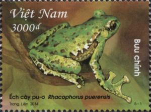 Colnect-3054-523-Puer-Tree-Frog-Rhacophorus-puerensis.jpg