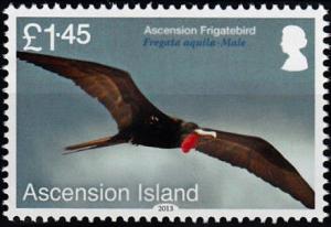 Colnect-3460-517-Ascension-Frigatebird-Fregata-aquila.jpg