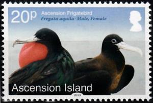 Colnect-3460-530-Ascension-Frigatebird-Fregata-aquila.jpg