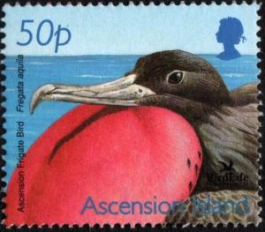 Colnect-4029-341-Ascension-Frigatebird-Fregata-aquila.jpg