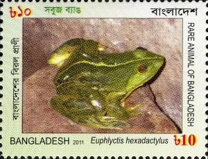 Colnect-5122-347-Indian-Green-Frog-Euphlyctis-hexadactylus-.jpg