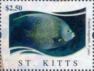 Colnect-6310-276-French-angelfish.jpg