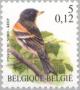 Colnect-187-599-Brambling-Fringilla-montifringilla.jpg