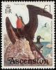 Colnect-1405-644-Ascension-Frigatebird-Fregata-aquila.jpg