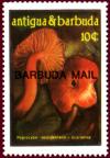 Colnect-1801-175-Fungi-overprints.jpg