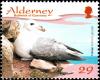 Colnect-5425-707-Northern-Fulmar-Fulmarus-glacialis.jpg