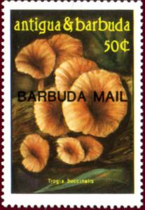 Colnect-1801-176-Fungi-overprints.jpg