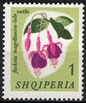 Colnect-3599-086-Hummingbird-Fuchsia-Fuchsia-magellanica.jpg