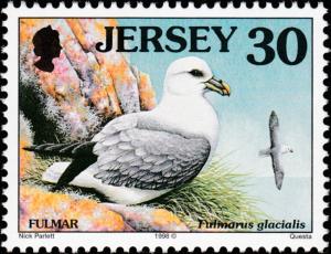 Colnect-6229-830-Northern-Fulmar-Fulmarus-glacialis.jpg